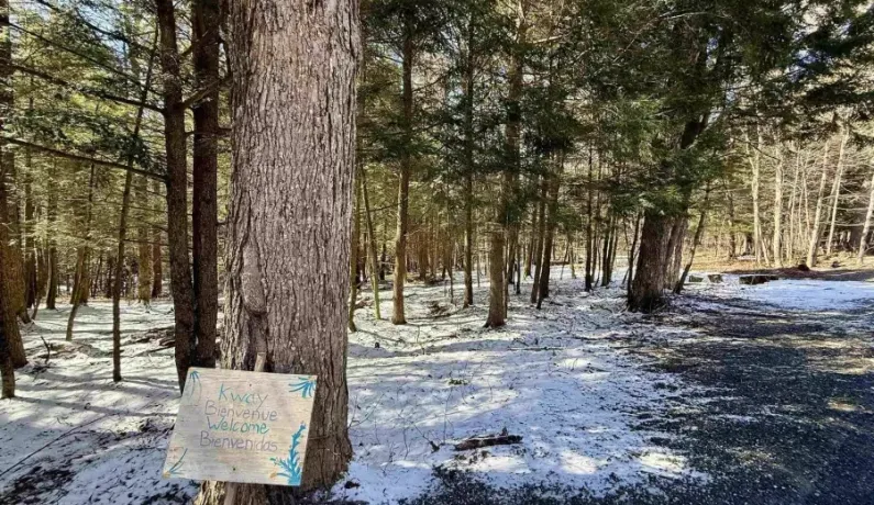 TBD Plot Road